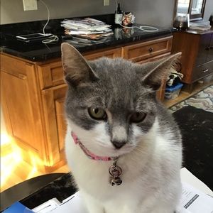 Meet your Posher, Annannika